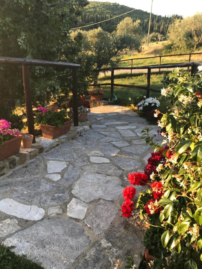 Salto Di Gatto Villa Castellina in Chianti Luaran gambar